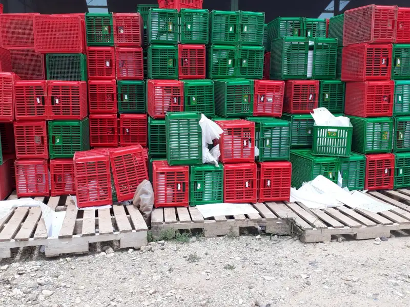 软件开发全流程中的技术咨询要点与风险控制策略