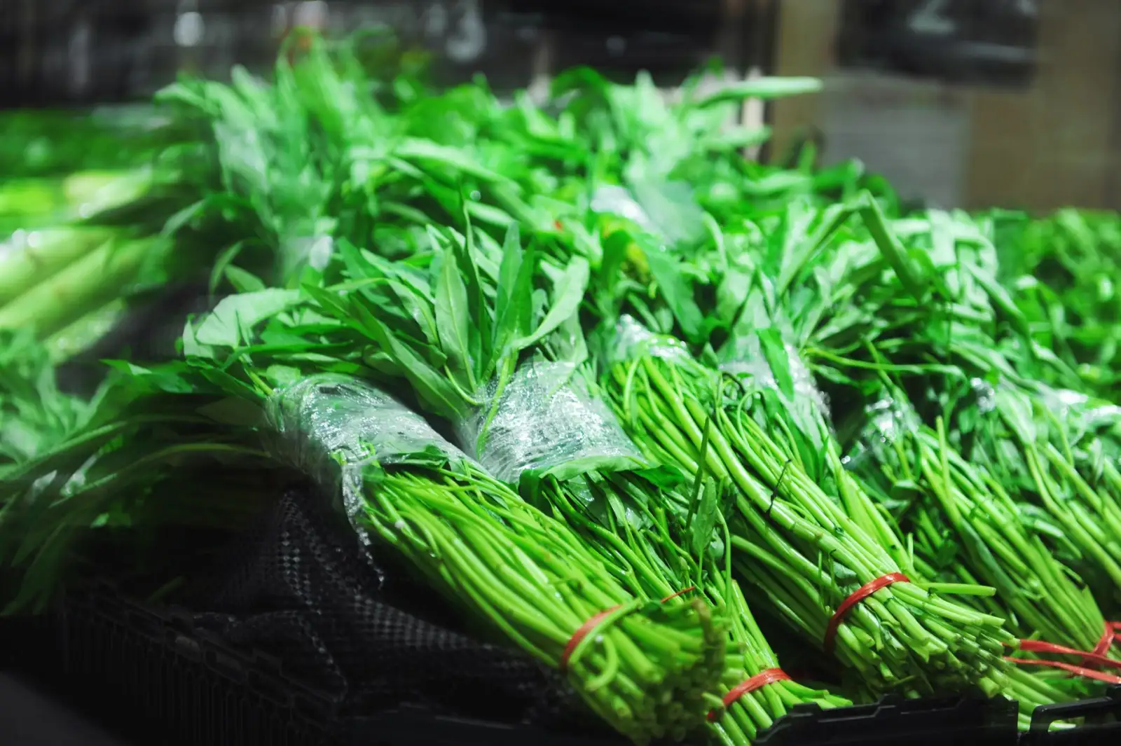 成都中小企业数字化转型：晨信隆软件开发服务部的定制化方案解析