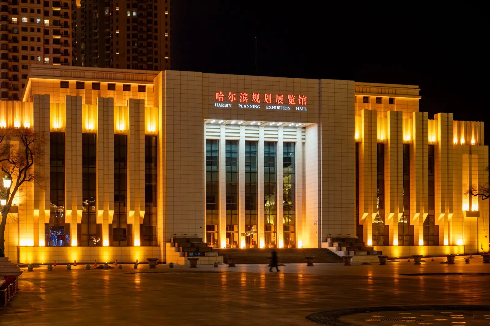 2024年软件技术咨询行业趋势分析：AI与低代码平台的应用前景