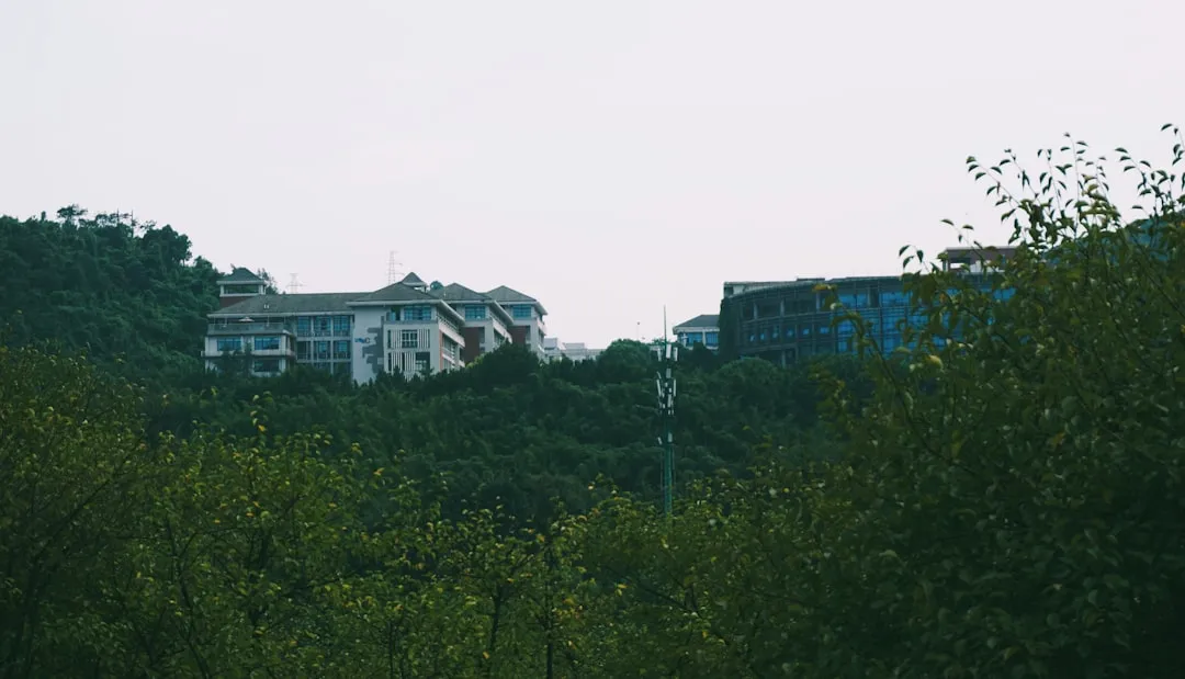 成都中小企业如何选择靠谱的软件开发服务：从需求到交付的全流程解析