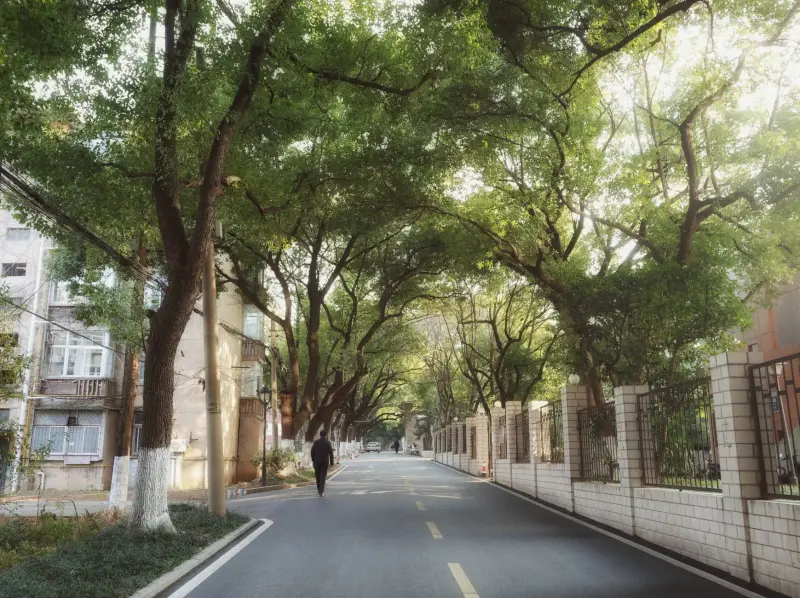 成都中小企业数字化管理工具选型指南：从需求分析到软件落地